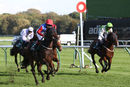 Race 3 - Shes A Unicorn (7)