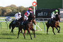 Race 3 - Shes A Unicorn (8)