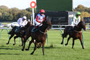 Race 3 - Shes A Unicorn (9)