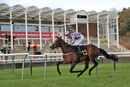 Race 3 - Simons King (10)