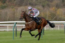 Race 3 - Simons King (7)