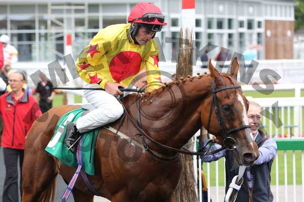 Race 3 - Sir Derrick (10)
