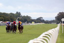 Race 3 - Sir Derrick (2)
