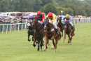 Race 3 - Sir Derrick (3)