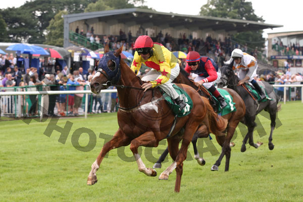 Race 3 - Sir Derrick (7)