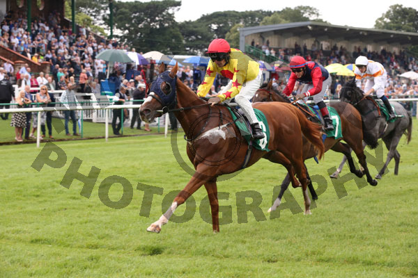 Race 3 - Sir Derrick (8)
