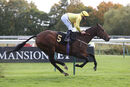 Race 3 - Smeaton (15)