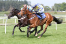 Race 3 - Star Foot (12)