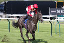 Race 3 - Stewardess (10)