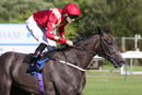 Race 3 - Stewardess (13)