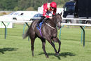 Race 3 - Stewardess (8)