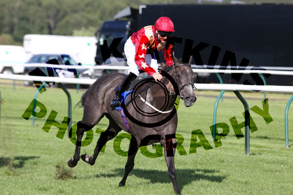 Race 3 - Stewardess (9)