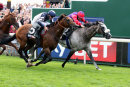 Race 3 - Success Days (15)