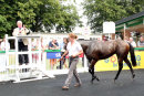 Race 3 - Super Major (17)