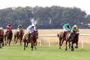 Race 3 - Super Major (4)