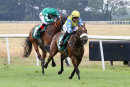 Race 3 - Super Major (5)