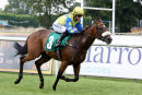 Race 3 - Super Major (7)