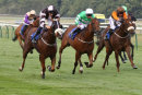 Race 3 - Tallinski (6)