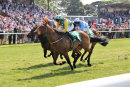 Race 3 - Tanasoq (6)