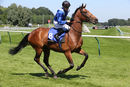 Race 3 - Tatweej (2)