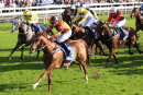 Race 3 - Teruntum Star (4)