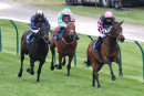 Race 3 - Thaqaffa (9)