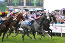 Race 3 - Theydon Grey (15)