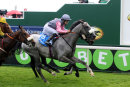 Race 3 - Theydon Grey (18)