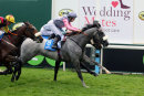 Race 3 - Theydon Grey (19)