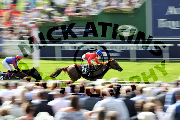 Race 3 - Threat (4)