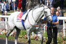 Race 3 - Thundering Blue (1)