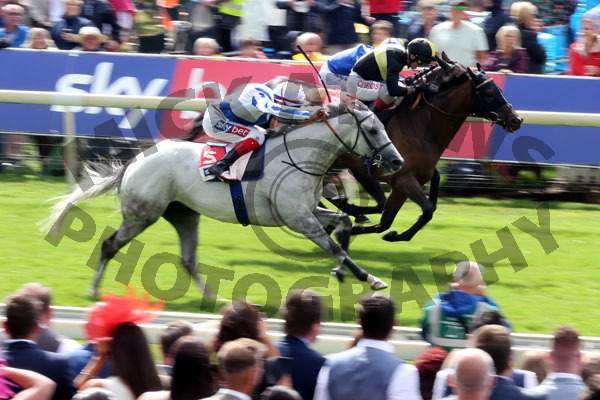 Race 3 - Thundering Blue (4)