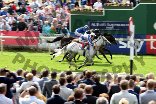 Race 3 - Thundering Blue (7)