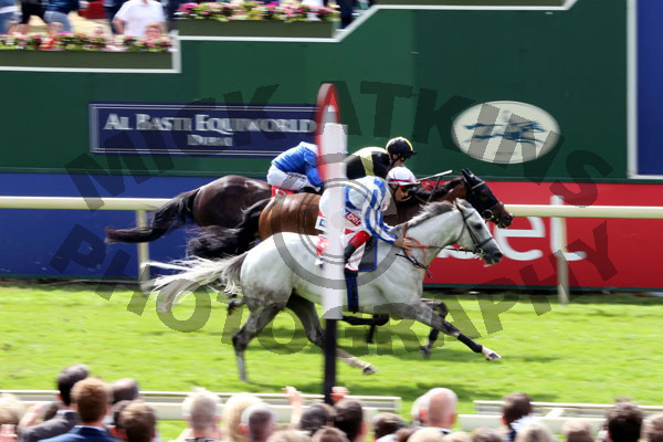 Race 3 - Thundering Blue (8)