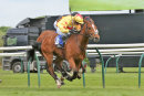 Race 3 - Tristram (4)