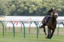 Race 3 - Urban Aspect (2)