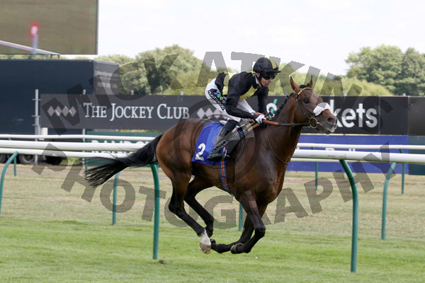 Race 3 - Urban Aspect (4)