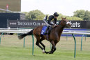 Race 3 - Urban Aspect (4)