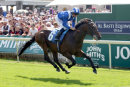 Race 3 - Wadilsafa (2)