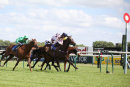 Race 3 - Wassail (10)