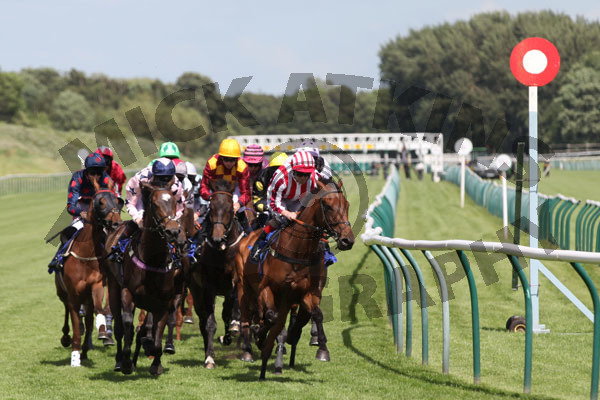 Race 3 - Wassail (4)