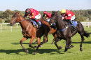 Race 3 - West Wizard (11)