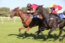 Race 3 - West Wizard (14)