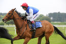 Race 3 - Whatmore (9)
