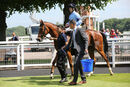 Race 3 - Whitehall (12)