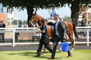 Race 3 - Whitehall (13)