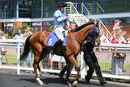 Race 3 - Whitehall (2)