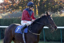 Race 3 - Why We Dream (12)