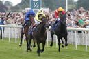 Race 3 - Without A Fight (2)