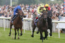 Race 3 - Without A Fight (3)